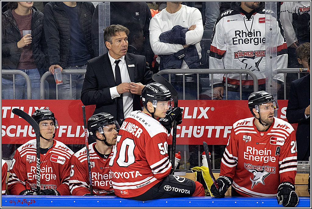PENNY DEL;  Kölner Haie - Eisbären Berlin; Köln, 01.11.2022